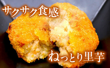 コロッケ 冷凍 大洲コロッケ 120個 コロッケ[AGCP402]