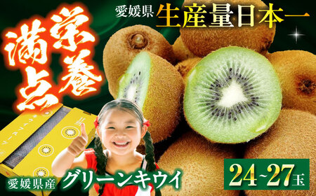 グリーンキウイ（24-27玉）【2026年1月下旬から順次発送】グリーンキウイ[AGBA009]