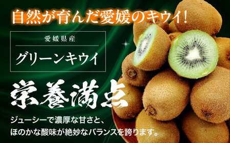 グリーンキウイ（24-27玉）【2026年1月下旬から順次発送】グリーンキウイ[AGBA009]