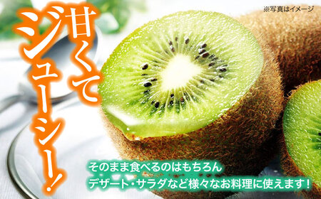 グリーンキウイ（24-27玉）【2026年1月下旬から順次発送】グリーンキウイ[AGBA009]