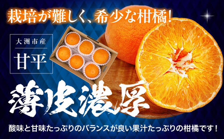 甘平【2026年2月上旬から発送】甘平（5-6個）かんぺい [AGBA005]