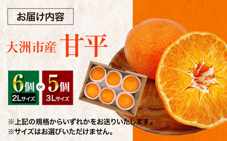 甘平【2026年2月上旬から発送】甘平（5-6個）かんぺい [AGBA005]
