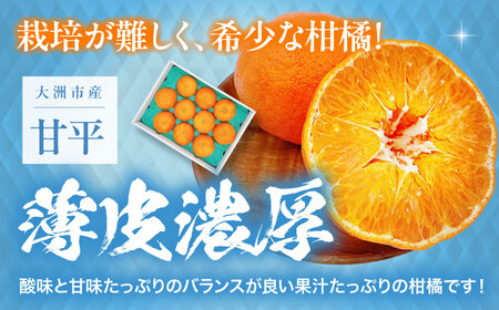 甘平 秀品大玉 3Lから5L 約2.5㎏ 7から10個 /フジ・アグリフーズ[AGBA006]