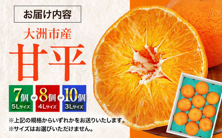 甘平 秀品大玉 3Lから5L 約2.5㎏ 7から10個 /フジ・アグリフーズ[AGBA006]