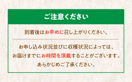 ＼レビューキャンペーン中／【先行予約】【9月上旬より順次発送】すぐに使えて手間いらず！ほくほく甘い ムキ栗 800g（真空パック）　愛媛県大洲市/沢井青果有限会社 [AGBN032]国産甘栗生栗国産甘栗生栗国産甘栗生栗国産甘栗生栗国産甘栗生栗国産甘栗生栗国産甘栗生栗国産甘栗生栗国産甘栗生栗国産甘栗生栗国産甘栗生栗国産甘栗生栗国産甘栗生栗国産甘栗生栗国産甘栗生栗国産甘栗生栗国産甘栗生栗国産甘栗生栗国産甘栗生栗国産甘栗生栗国産甘栗生栗国産甘栗生栗国産甘栗生栗国産甘栗生栗国産甘栗生栗国産甘栗生栗国産甘栗生栗国産甘栗生栗国産甘栗生栗国産甘栗生栗国産甘栗生栗国産甘栗生栗国産甘栗生栗国産甘栗生栗国産甘栗生栗国産甘栗生栗国産甘栗生栗国産甘栗生栗国産甘栗生栗国産甘栗生栗国産甘栗生栗国産甘栗生栗国産甘栗生栗国産甘栗生栗国産甘栗生栗国産甘栗生栗国産甘栗生栗国産甘栗生栗国産甘栗生栗国産甘栗生栗国産甘栗生栗