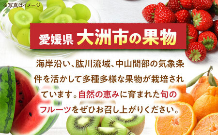 【9月下旬より順次発送】ほくほく甘いお徳用ムキ栗 1.2kg（真空パック）　愛媛県大洲市/沢井青果有限会社 [AGBN034]国産甘栗生栗国産甘栗生栗国産甘栗生栗国産甘栗生栗国産甘栗生栗国産甘栗生栗国産甘栗生栗国産甘栗生栗国産甘栗生栗国産甘栗生栗国産甘栗生栗国産甘栗生栗国産甘栗生栗国産甘栗生栗国産甘栗生栗国産甘栗生栗国産甘栗生栗国産甘栗生栗国産甘栗生栗国産甘栗生栗国産甘栗生栗国産甘栗生栗国産甘栗生栗国産甘栗生栗国産甘栗生栗国産甘栗生栗国産甘栗生栗国産甘栗生栗国産甘栗生栗国産甘栗生栗国産甘栗生栗国産甘栗生栗国産甘栗生栗国産甘栗生栗国産甘栗生栗国産甘栗生栗国産甘栗生栗国産甘栗生栗国産甘栗生栗国産甘栗生栗国産甘栗生栗国産甘栗生栗国産甘栗生栗国産甘栗生栗国産甘栗生栗国産甘栗生栗国産甘栗生栗国産甘栗生栗国産甘栗生栗国産甘栗生栗国産甘栗生栗