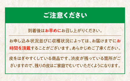 【9月下旬より順次発送】ほくほく甘いお徳用ムキ栗 1.2kg（真空パック）　愛媛県大洲市/沢井青果有限会社 [AGBN034]国産甘栗生栗国産甘栗生栗国産甘栗生栗国産甘栗生栗国産甘栗生栗国産甘栗生栗国産甘栗生栗国産甘栗生栗国産甘栗生栗国産甘栗生栗国産甘栗生栗国産甘栗生栗国産甘栗生栗国産甘栗生栗国産甘栗生栗国産甘栗生栗国産甘栗生栗国産甘栗生栗国産甘栗生栗国産甘栗生栗国産甘栗生栗国産甘栗生栗国産甘栗生栗国産甘栗生栗国産甘栗生栗国産甘栗生栗国産甘栗生栗国産甘栗生栗国産甘栗生栗国産甘栗生栗国産甘栗生栗国産甘栗生栗国産甘栗生栗国産甘栗生栗国産甘栗生栗国産甘栗生栗国産甘栗生栗国産甘栗生栗国産甘栗生栗国産甘栗生栗国産甘栗生栗国産甘栗生栗国産甘栗生栗国産甘栗生栗国産甘栗生栗国産甘栗生栗国産甘栗生栗国産甘栗生栗国産甘栗生栗国産甘栗生栗国産甘栗生栗