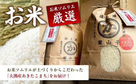 定期便 全3回】 水郷大洲たる井の「国産うなぎ蒲焼き2尾」と大洲産のお