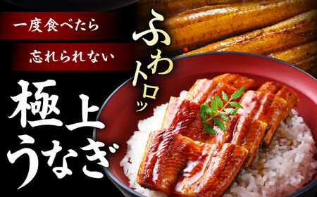 鰻 定期便【全3回】うなぎ蒲焼き（4尾）＋お米（5kg）[AGAH009]