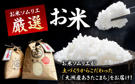 鰻 定期便【全3回】うなぎ蒲焼き（4尾）＋お米（5kg）[AGAH009]