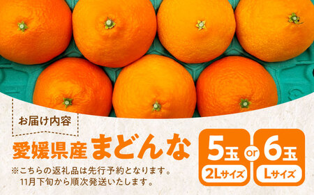 【先行予約】【11月下旬から順次発送】愛媛県産 峯田農園のとろける宝石柑橘「まどんな」2Lサイズ5玉又はLサイズ6玉　＼レビューキャンペーン中／愛媛県大洲市/峯田農園[AGBT007]みかんミカン果物みかんミカン果物みかんミカン果物みかんミカン果物みかんミカン果物みかんミカン果物みかんミカン果物みかんミカン果物みかんミカン果物みかんミカン果物みかんミカン果物みかんミカン果物みかんミカン果物みかんミカン果物みかんミカン果物みかんミカン果物みかんミカン果物みかんミカン果物みかんミカン果物みかんミカン果物みかんミカン果物みかんミカン果物みかんミカン果物みかんミカン果物みかんミカン果物みかんミカン果物みかんミカン果物みかんミカン果物みかんミカン果物みかんミカン果物みかんミカン果物みかんミカン果物みかんミカン果物みかんミカン果物