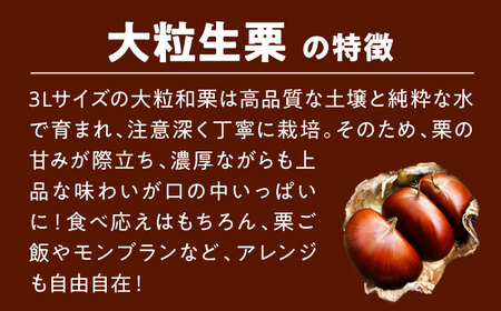 栗 【2026年9月下旬から順次発送】 大粒生栗 1kg[AGAE009]