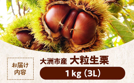 たーぼう　２Ｌサイズ　10キロ　無農薬生栗 たーぼう様専用 2Lサイズ 10キロ 無農薬生栗 ⭕あっちゃん 様