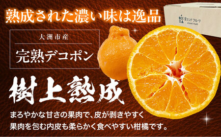 デコポン（完熟）5-6個 デコポン 不知火【3月下旬から順次発送】[AGBA008]