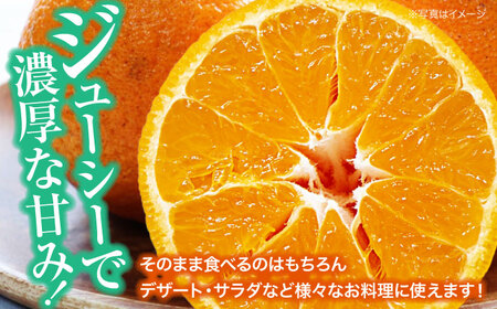 デコポン（完熟）5-6個 デコポン 不知火【3月下旬から順次発送】[AGBA008]