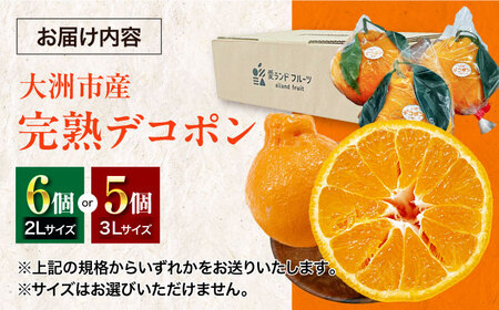 デコポン（完熟）5-6個 デコポン 不知火【3月下旬から順次発送】[AGBA008]