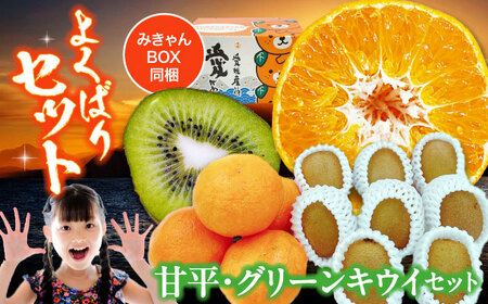 甘平 キウイ セット【2月上旬から順次発送】甘平 かんぺい[AGBA011]