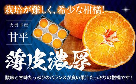 甘平 キウイ セット【2月上旬から順次発送】甘平 かんぺい[AGBA011]