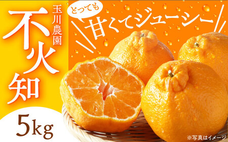 みかん【2026年3月上旬から順次発送】不知火 5kg みかん[AGBC003]