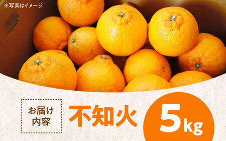 みかん【2026年3月上旬から順次発送】不知火 5kg みかん[AGBC003]