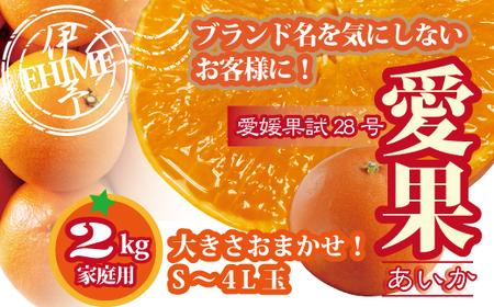 訳あり 愛果28号 約2kg ご家庭用 みかん 愛媛 人気 サイズミックス 柑橘 伊予市｜B172