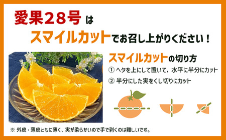 訳あり 愛果28号 約2kg ご家庭用 みかん 愛媛 人気 サイズミックス 柑橘 伊予市｜B172