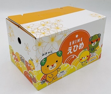 みかん 愛媛 せとか(約2.5kg)L~3Lサイズ ご家庭用 バラ詰め 【2月中旬から順次発送予定】 人気 数量限定 先行予約 みきゃん箱 柑橘 伊予市|B192