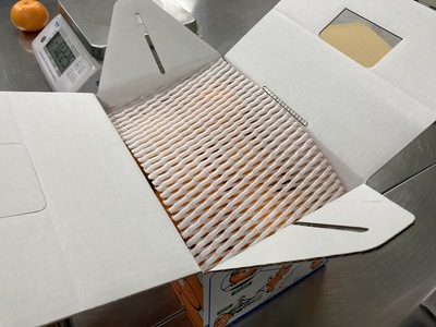 みかん 愛媛 せとか(約2.5kg)L~3Lサイズ ご家庭用 バラ詰め 【2月中旬から順次発送予定】 人気 数量限定 先行予約 みきゃん箱 柑橘 伊予市|B192