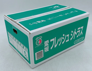 みかん 愛媛 せとか(約5kg)L~3Lサイズ ご家庭用 バラ詰め 【2月中旬から順次発送予定】 人気 数量限定 先行予約 柑橘 伊予市|B193