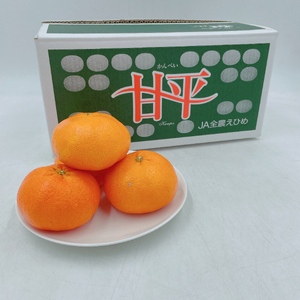 みかん 愛媛 甘平（約5kg）家庭用 L～３Lサイズ 人気 数量限定 先行予約 柑橘 伊予市｜C51