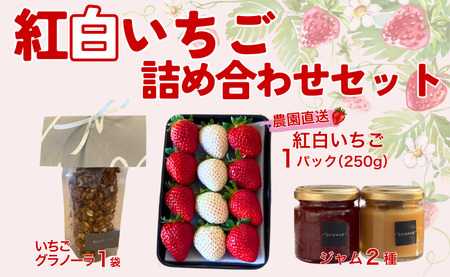 イチゴジャム 無添加 紅白いちご ミルクジャム グラノーラ 数量限定 農園直送 くぼなか農園 愛媛 人気 伊予市｜B210