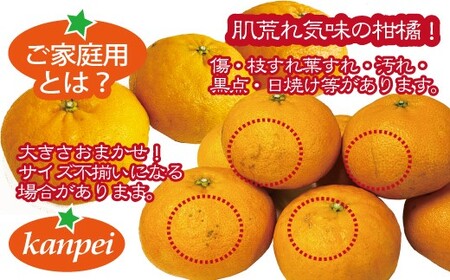 訳あり 甘平 家庭用 みかん 愛媛 約2kg 人気 サイズミックス 柑橘 伊予市｜B234