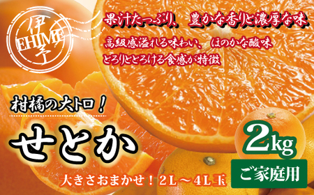 訳あり せとか 2kg ご家庭用 みかん 愛媛 人気 サイズミックス 柑橘 伊予市 【2026年2月下旬順次発送】 | B235