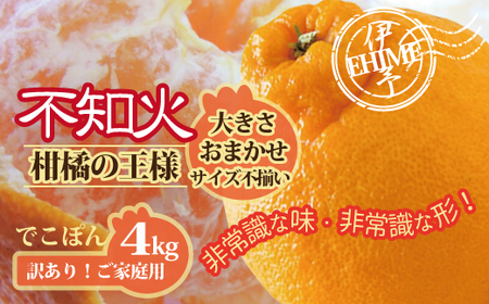 不知火 訳あり しらぬい 約4kg ご家庭用 みかん 愛媛 人気 サイズミックス 柑橘 伊予市｜B236