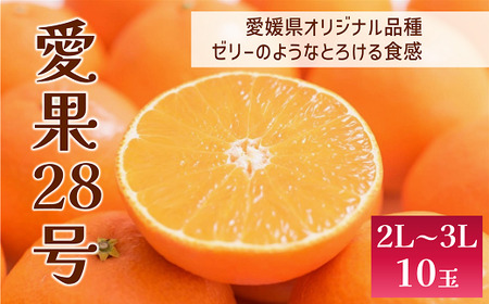 愛果28号 10玉入り 2L～3L 先行予約 12月発送 愛媛 数量限定 愛媛県産 人気 柑橘 伊予市｜C56