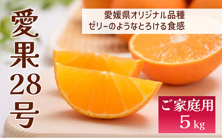 愛果28号 バラ詰め 5kg 先行予約 12月発送 愛媛 数量限定 愛媛県産 人気 柑橘 伊予市｜C57