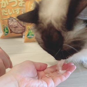 ペットフード マルトモ 減塩かつおだいすき 40g×3袋セット おやつ 鰹節 犬 猫 国産 国内加工 保存料 着色料 不使用 伊予市｜A26