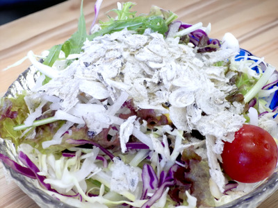 そのまんまちりめん 1パック 15g 国産 ちりめん せんべい カタクチイワシ カルシウムたっぷり オカベ｜A40