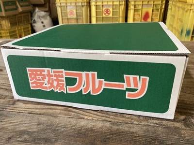 愛果28号 2kg 農園直送 先行予約 12月発送 愛媛 数量限定 愛媛県産 人気 柑橘 伊予市｜B333