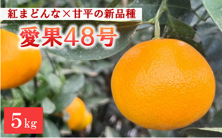 【2025年3月発送予定】愛果48号 5kg 農園直送 みかん 愛媛 人気 数量限定 先行予約 柑橘 伊予市｜C93