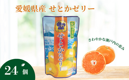 ゼリー飲料 ゼリー 飲むゼリー せとか 150g×6個×4箱 JAえひめ 愛媛の果実せとかのゼリー(E-2) | C99