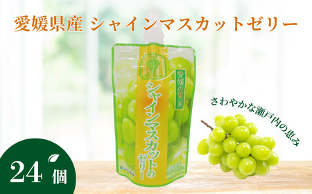 ゼリー飲料 ゼリー 飲むゼリー シャインマスカット 150g×6個×4箱 JAえひめ  愛媛の果実シャインマスカットのゼリー (E-9) ｜ B368