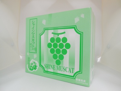 ゼリー飲料 ゼリー 飲むゼリー シャインマスカット 150g×6個×4箱 JAえひめ  愛媛の果実シャインマスカットのゼリー (E-9) ｜ B368