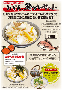 鯛めし 愛媛 みかん鯛めしの素 3合炊き3パック 魚屋さんが作った 自家製 吉井鮮魚｜C104