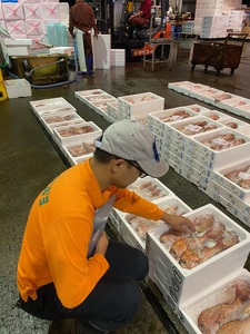 鯛めし 愛媛 みかん鯛めしの素 3合炊き3パック 魚屋さんが作った 自家製 吉井鮮魚｜C104