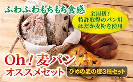 【愛媛県産大麦（はだか麦）使用】Ｏｈ！麦パン オススメセット パン 篠崎ベーカリー  詰め合わせ こだわり おすすめ 食べ比べ おやつ 朝ごはん 伊予市 老舗 | A76