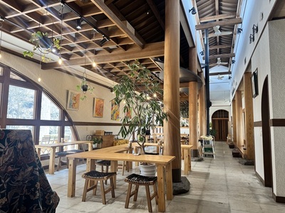 愛果28号 宇宙食 愛媛県産 みかん 25g｜B427