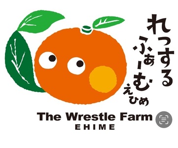 愛果28号 紅まどんなと同一品種 みかん 2kg ご家庭用 傷あり レッスルファーム 愛媛 【2026年11月中旬下旬から順次発送予定】 先行予約 数量限定 おすすめ 美味しい おいしい グルメ フルーツ くだもの 愛媛県産 人気 柑橘 伊予市｜A104