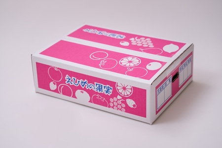 せとか みかん 愛媛 12玉 贈答用 人気 数量限定 先行予約 【2026年2月上旬以降発送】 柑橘 愛媛県産 伊予市|C130