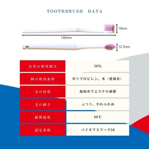 歯ブラシ お米歯ブラシ ライスクリーン ふつう 6本 【3色×2本】お米でできた歯ブラシ オーラルケア ハブラシ 山陽物産｜B439